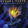 Spooky Tooth BBC Sessions Формат: Audio CD (Jewel Case) Дистрибьютор: Brilliant Лицензионные товары Характеристики аудионосителей 2001 г Альбом инфо 5692z.
